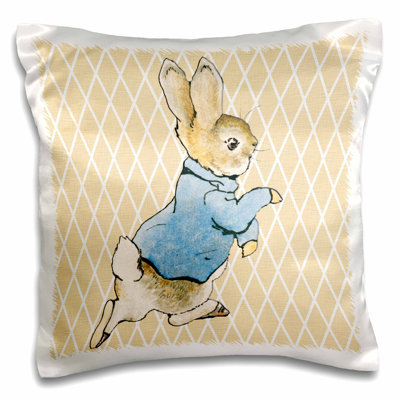 3dRose 3D Rose Image of Peter Rabbit Funny Pickle Long Throw Body Pillows